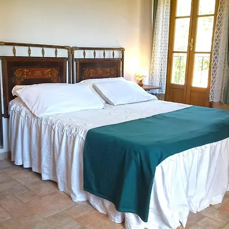 Le Querce - San Galgano קיוסדינו