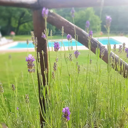 וילה Le Querce - San Galgano