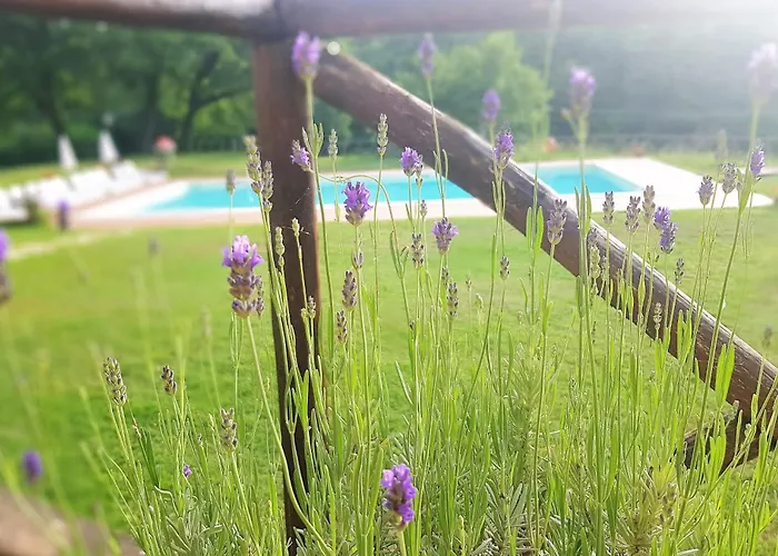 Villa Le Querce - San Galgano